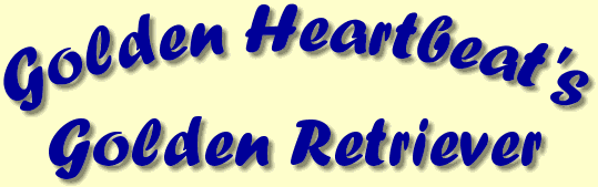 Golden Heartbeat's Golden Retriever